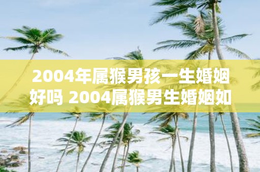 2004年属猴男孩一生婚姻好吗 2004属猴男生婚姻如何