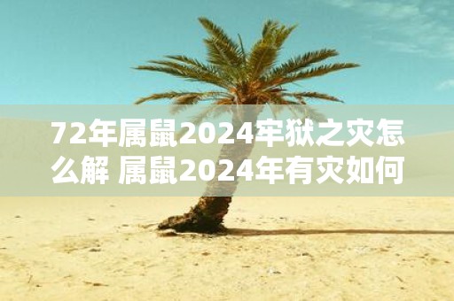 72年属鼠2025牢狱之灾怎么解 属鼠2025年有灾如何破解