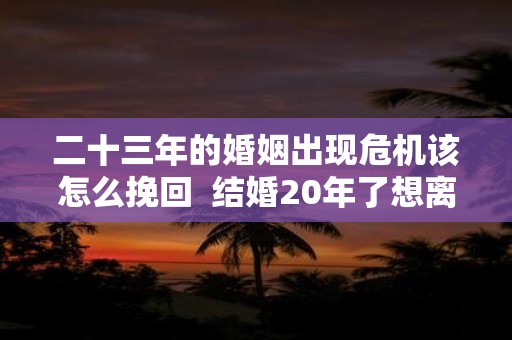 二十三年的婚姻出现危机该怎么挽回 结婚20年了想离婚怎么办