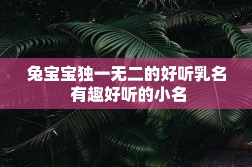 兔宝宝独一无二的好听乳名 有趣好听的小名