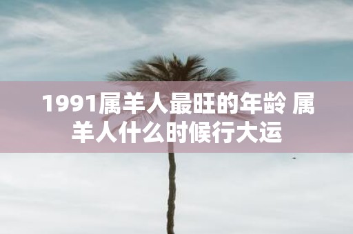 1991属羊人最旺的年龄 属羊人什么时候行大运