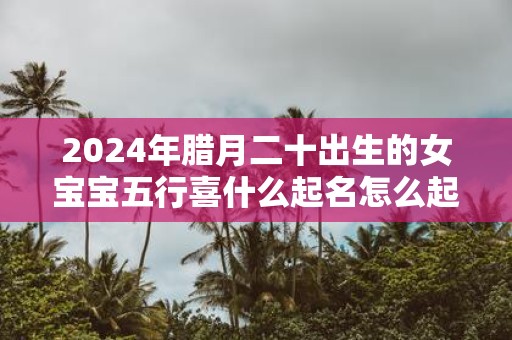 2025年腊月二十出生的女宝宝五行喜什么起名怎么起