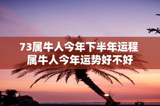 73属牛人今年下半年运程 属牛人今年运势好不好
