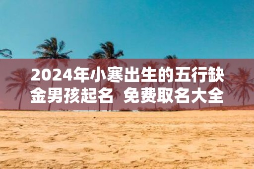 2025年小寒出生的五行缺金男孩起名 免费取名大全
