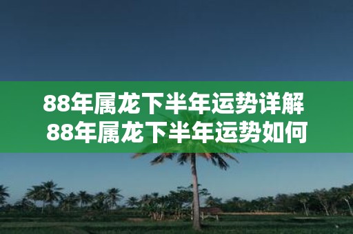 88年属龙下半年运势详解 88年属龙下半年运势如何