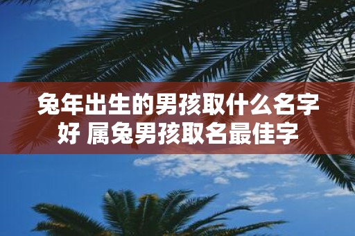 蛇年出生的男孩取什么名字好 属兔男孩取名最佳字