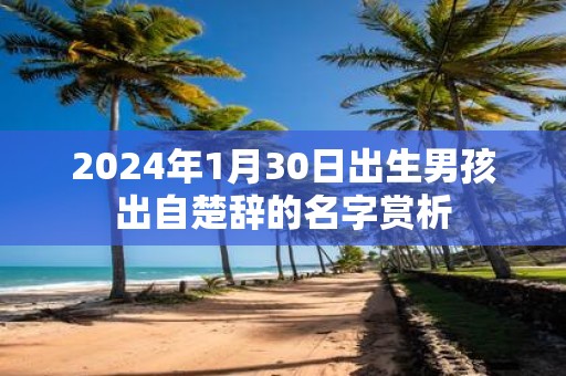 2025年1月30日出生男孩出自楚辞的名字赏析