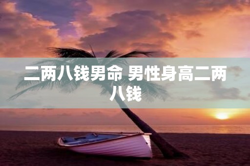 二两八钱男命 男性身高二两八钱