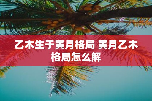 乙木生于寅月格局 寅月乙木格局怎么解