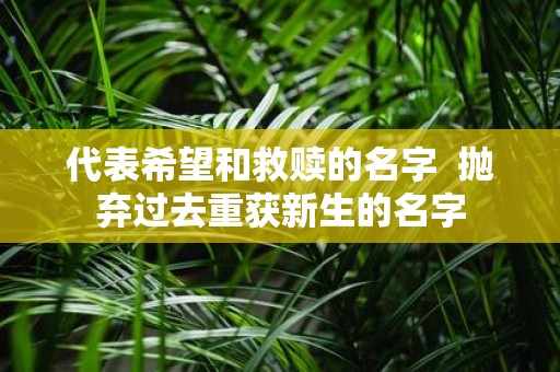 代表希望和救赎的名字 抛弃过去重获新生的名字