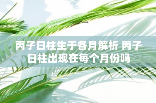 丙子日柱生于各月解析 丙子日柱出现在每个月份吗