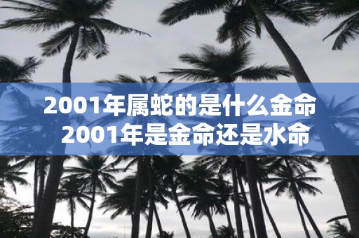 2001年属蛇的是什么金命 2001年是金命还是水命