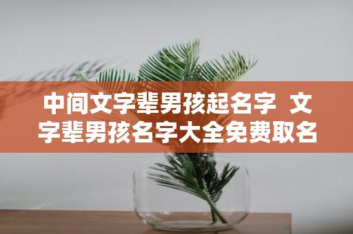 中间文字辈男孩起名字 文字辈男孩名字大全免费取名