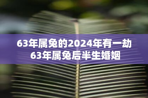 63年属兔的2025年有一劫 63年属兔后半生婚姻