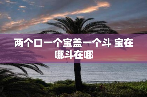 两个口一个宝盖一个斗 宝在哪斗在哪