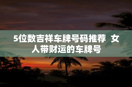 5位数吉祥车牌号码推荐 女人带财运的车牌号