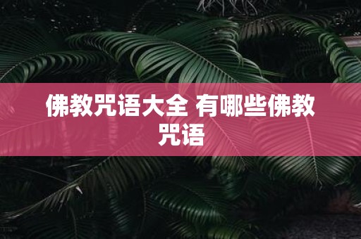 佛教咒语大全 有哪些佛教咒语