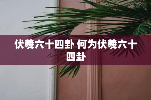 伏羲六十四卦 何为伏羲六十四卦
