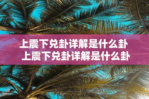 上震下兑卦详解是什么卦 上震下兑卦详解是什么卦学业