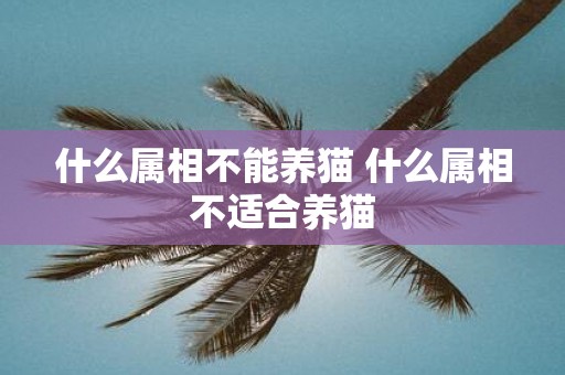 什么属相不能养猫 什么属相不适合养猫