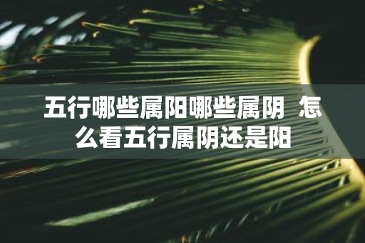 五行哪些属阳哪些属阴 怎么看五行属阴还是阳