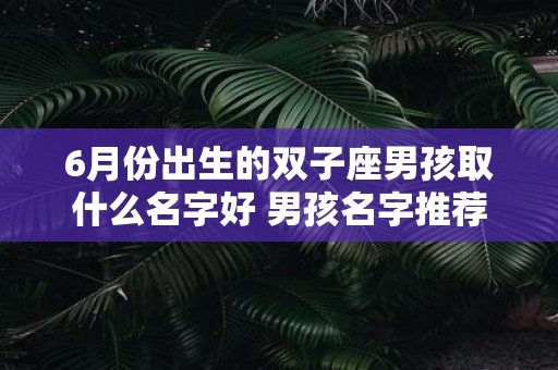 6月份出生的双子座男孩取什么名字好 男孩名字推荐