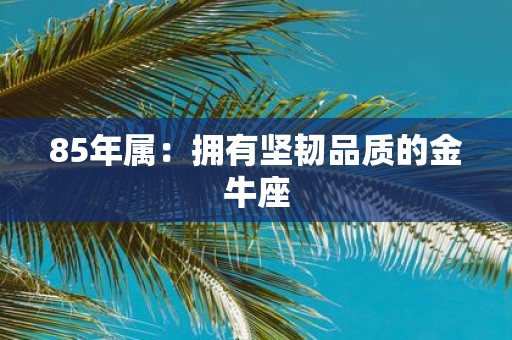 85年属：拥有坚韧品质的金牛座