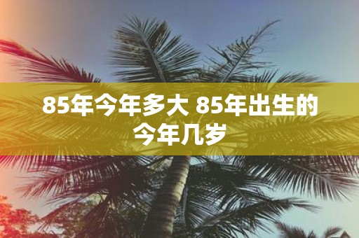 85年今年多大 85年出生的今年几岁