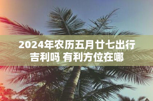 2025年农历五月廿七出行吉利吗 有利方位在哪