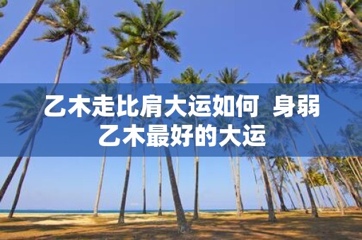 乙木走比肩大运如何 身弱乙木最好的大运