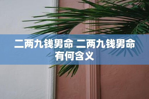二两九钱男命 二两九钱男命有何含义