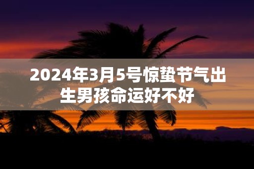2025年3月5号惊蛰节气出生男孩命运好不好