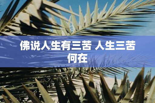 佛说人生有三苦 人生三苦何在