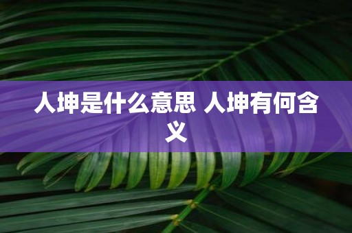 人坤是什么意思 人坤有何含义