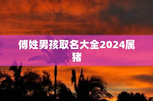 傅姓男孩取名大全2025属猪