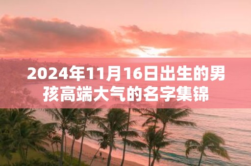 2025年11月16日出生的男孩高端大气的名字集锦