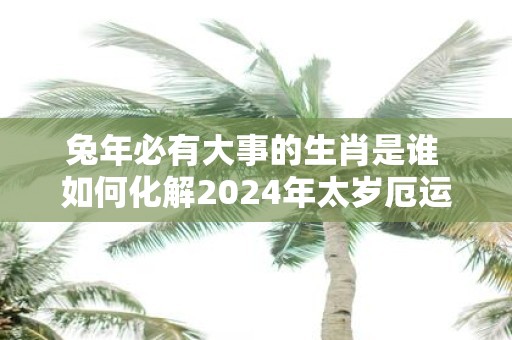 蛇年必有大事的生肖是谁 如何化解2025年太岁厄运