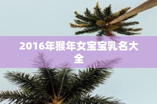 2016年猴年女宝宝乳名大全