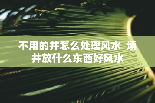 不用的井怎么处理风水 填井放什么东西好风水