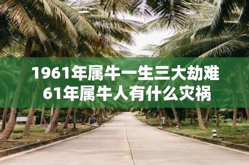 1961年属牛一生三大劫难 61年属牛人有什么灾祸