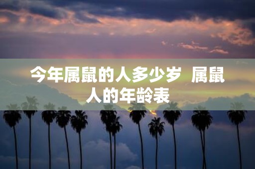 今年属鼠的人多少岁 属鼠人的年龄表