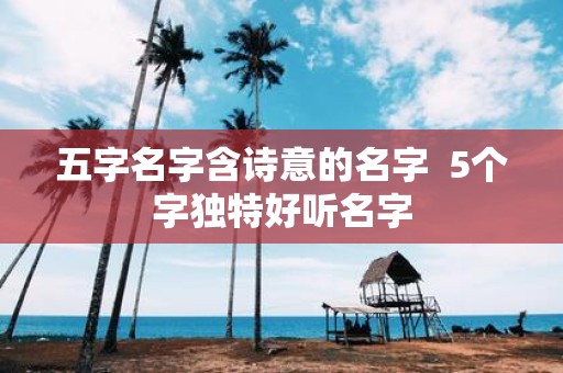 五字名字含诗意的名字 5个字独特好听名字
