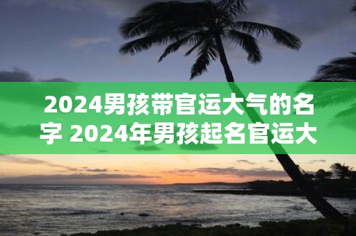 2025男孩带官运大气的名字 2025年男孩起名官运大气