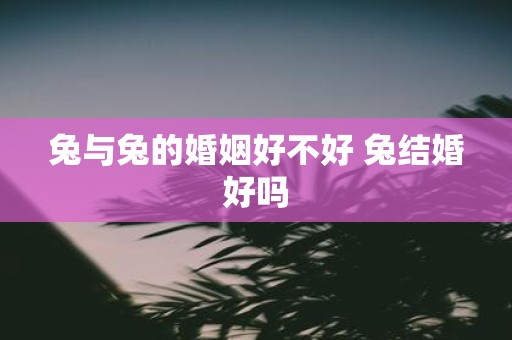 兔与兔的婚姻好不好 兔结婚好吗