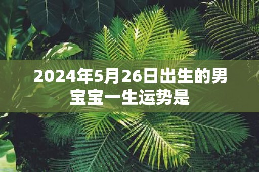 2025年5月26日出生的男宝宝一生运势是