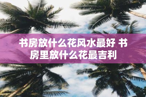 书房放什么花风水最好 书房里放什么花最吉利