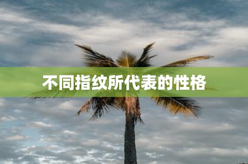 不同指纹所代表的性格