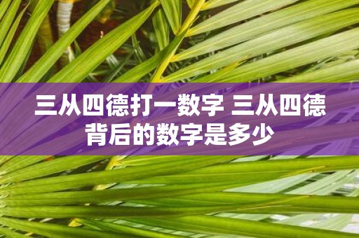 三从四德打一数字 三从四德背后的数字是多少