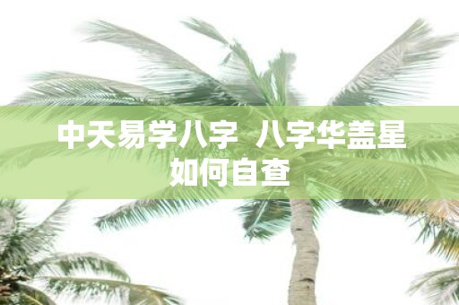 中天易学八字 八字华盖星如何自查