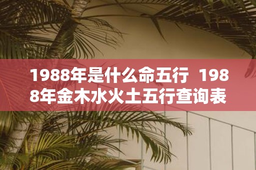 1988年是什么命五行 1988年金木水火土五行查询表